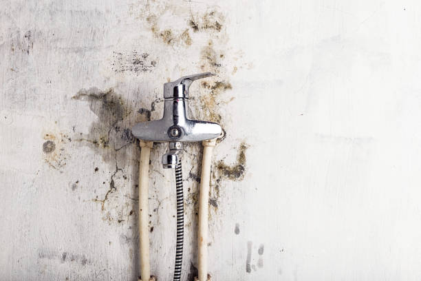 French Island, WI Mold Remediation Company