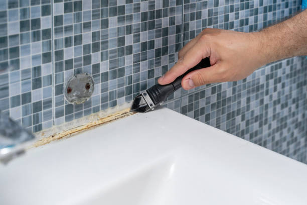 Best Residential Mold Remediation in French Island, WI